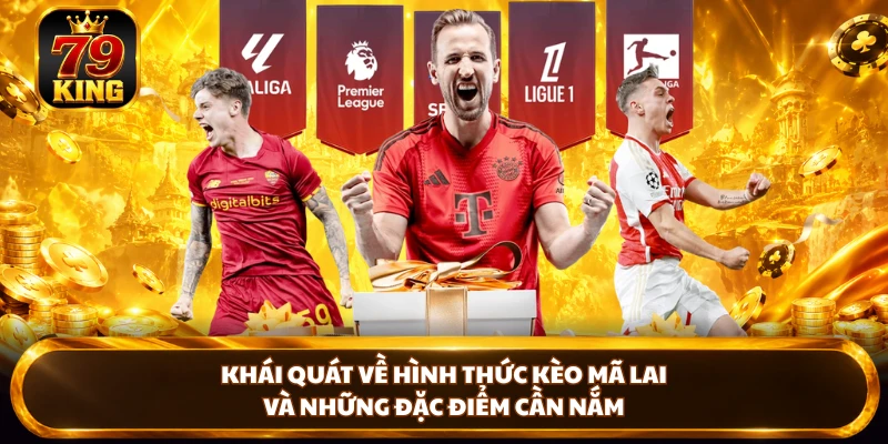 Kèo Mã Lai Là Gì? Luật Chơi Và Cách Đọc Kèo Tại 79king